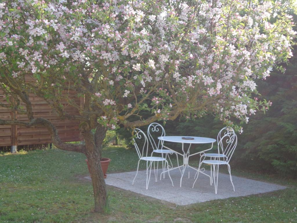 La Grille Doree Amboise Bagian luar foto